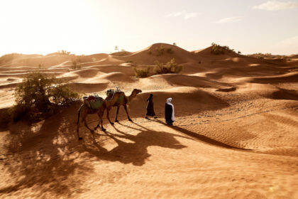 Saudi Arabia