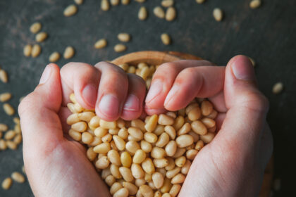 Do you know the importance of soybeans in life?