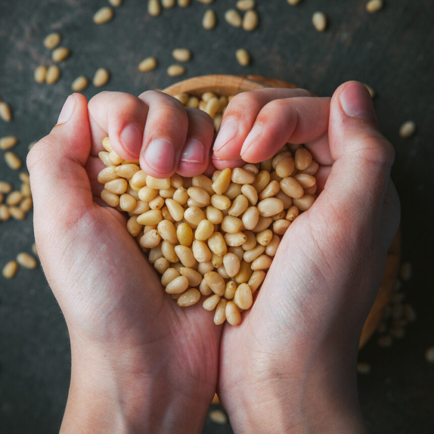 Do you know the importance of soybeans in life?