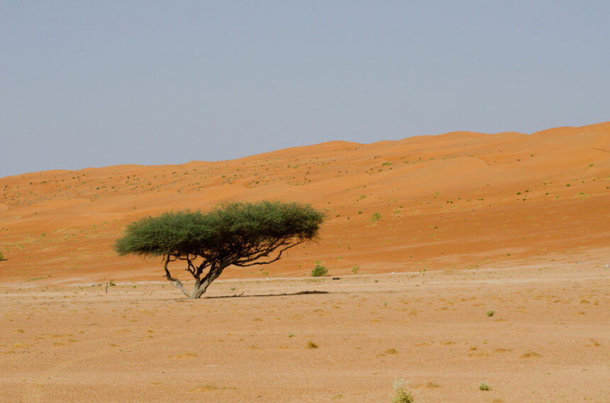 Namib