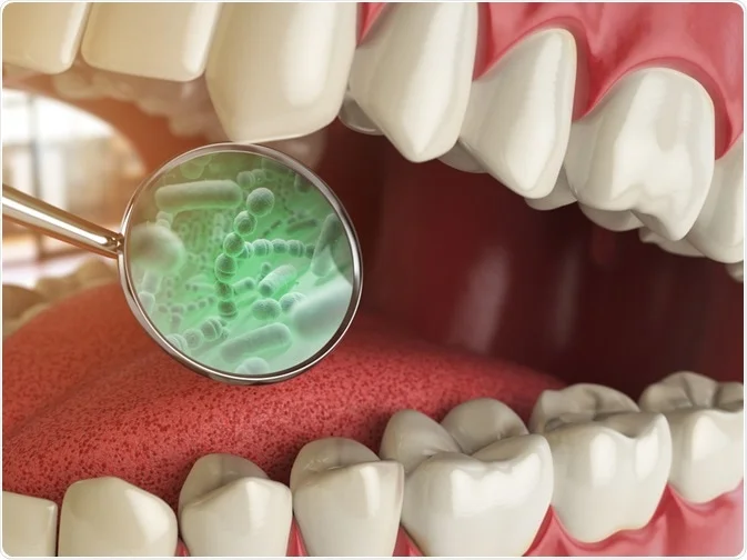 Here are the microbes that live in the mouth and those that can cause disease