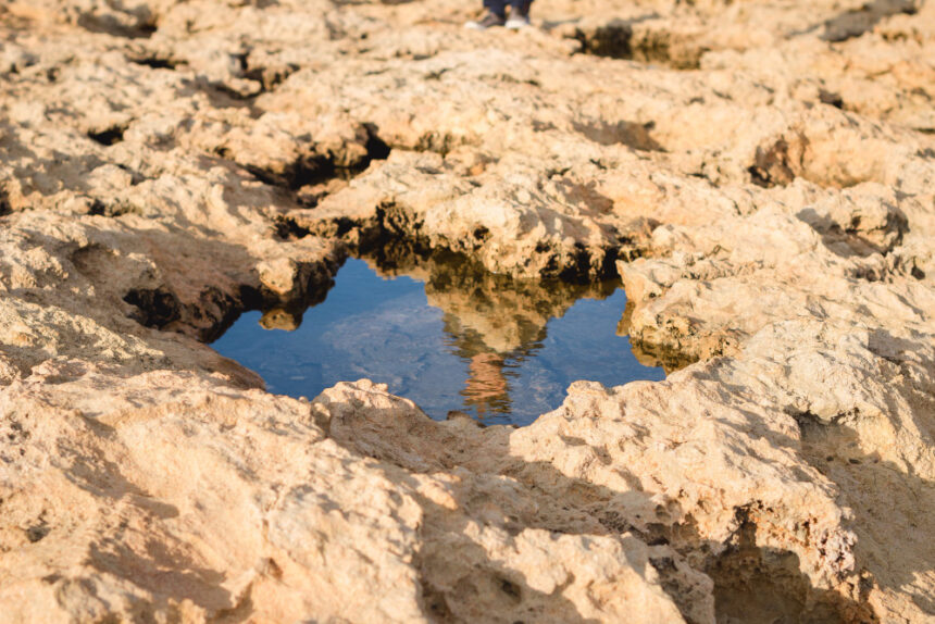 Socotra