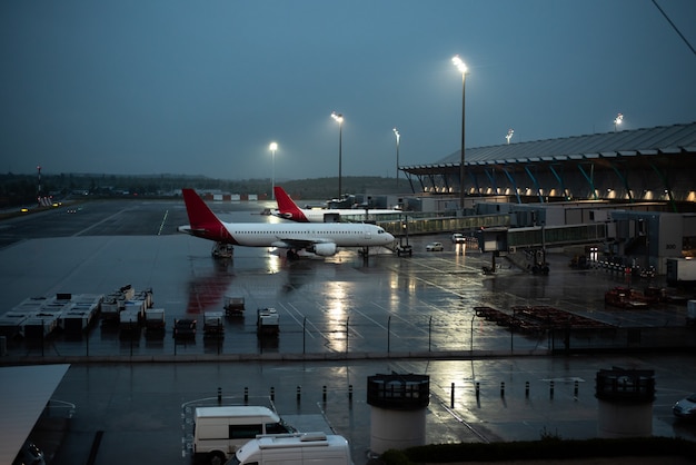 Flights grounded and emergency services hampered after major IT outages across the Netherlands